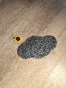 IMG_20261005_090811.webp